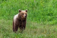 20240604-_K2A5332-Bearbeitet