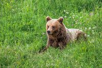 20240604-_K2A5345-Bearbeitet