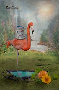 flamingo-tassen